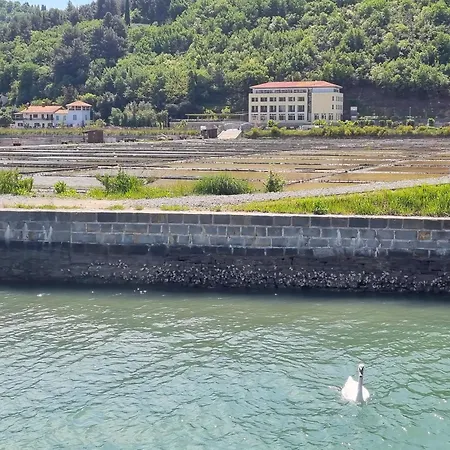 Salt Field Strunjan